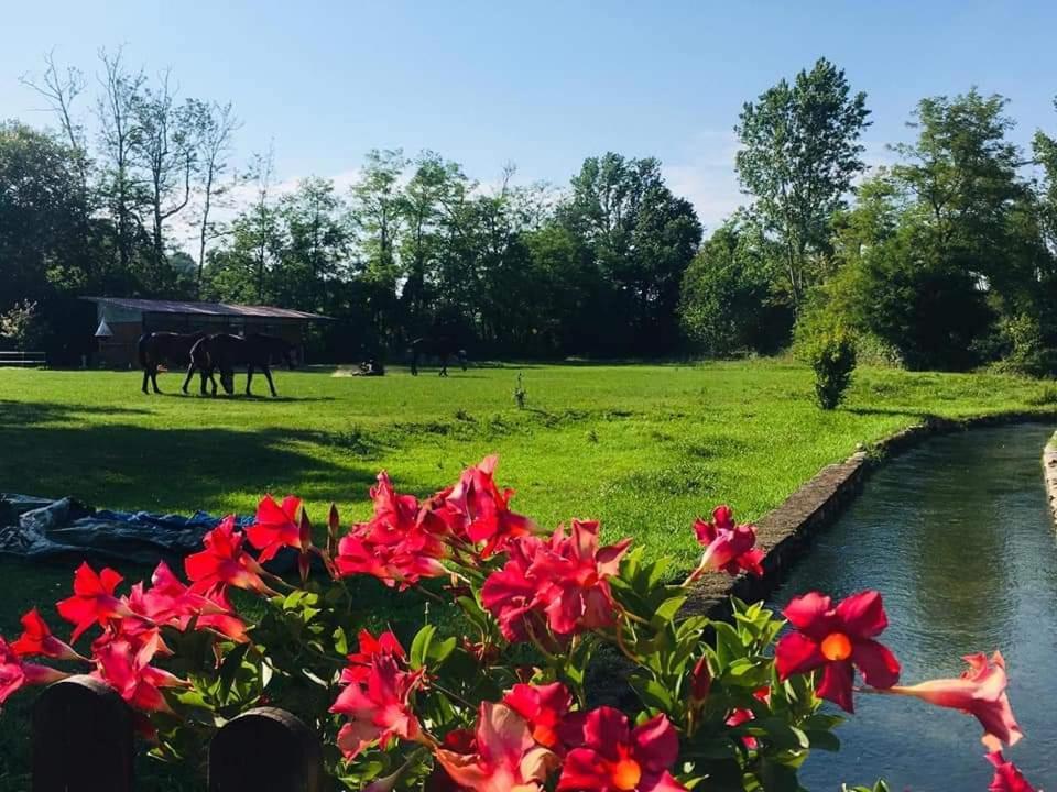 Agriturismo Helianthus Oleggio Ngoại thất bức ảnh