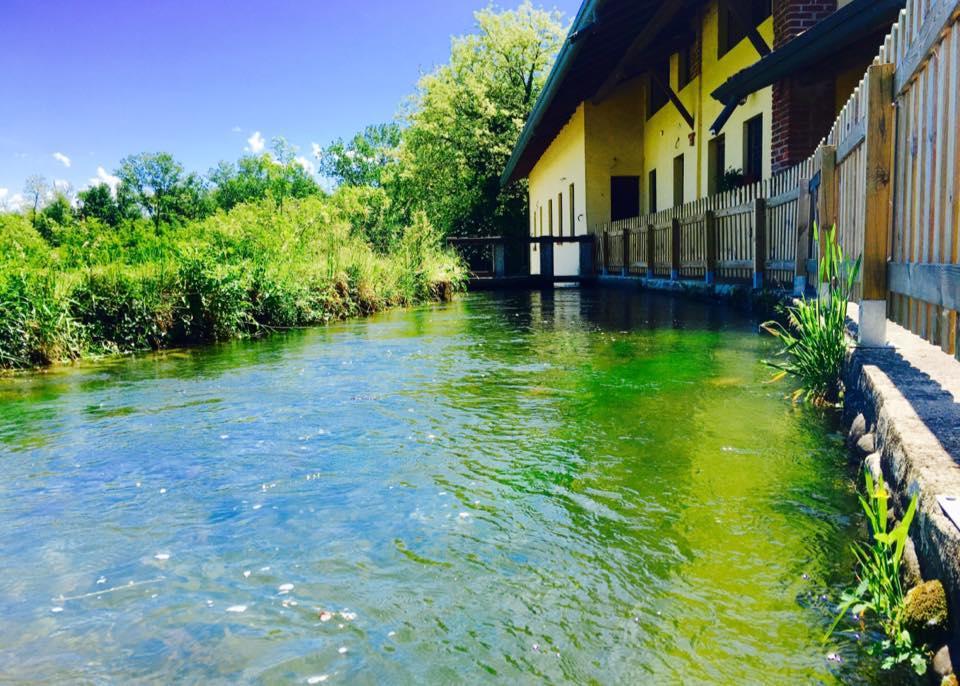 Agriturismo Helianthus Oleggio Ngoại thất bức ảnh