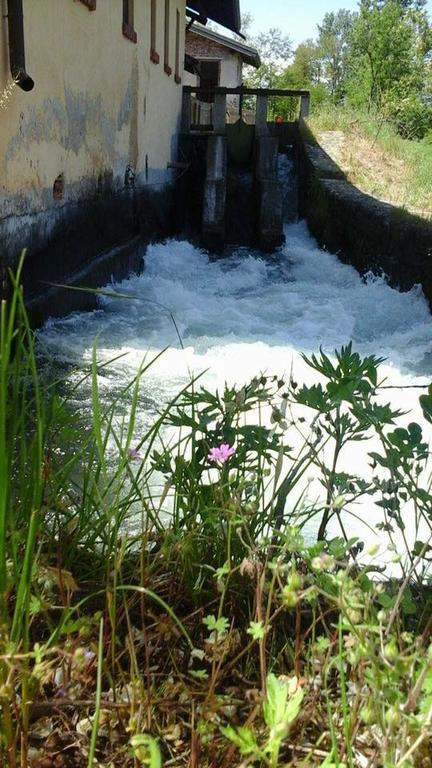 Agriturismo Helianthus Oleggio Ngoại thất bức ảnh