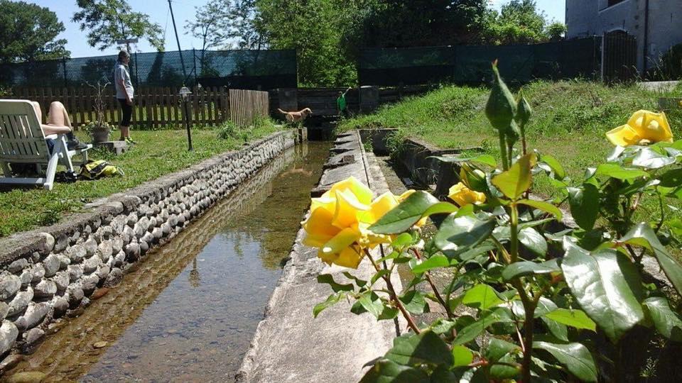 Agriturismo Helianthus Oleggio Ngoại thất bức ảnh